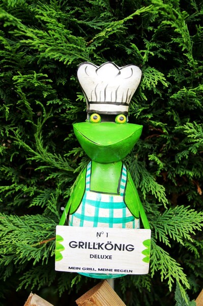 Zaunhocker Grillk&ouml;nig