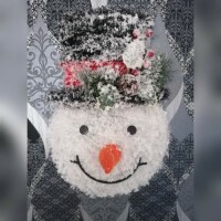 Schneemann LED