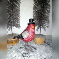 Vogel mit Zylinder