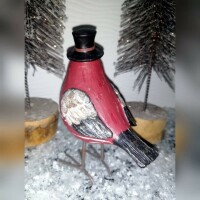 Vogel mit Zylinder