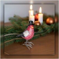 Vogel mit Zylinder