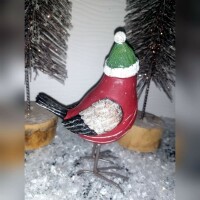 Vogel mit M&uuml;tze