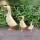 Ente