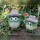 Frosch