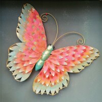 Schmetterling
