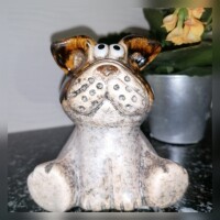 Hund braun