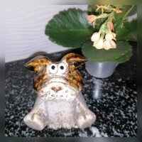 Hund braun