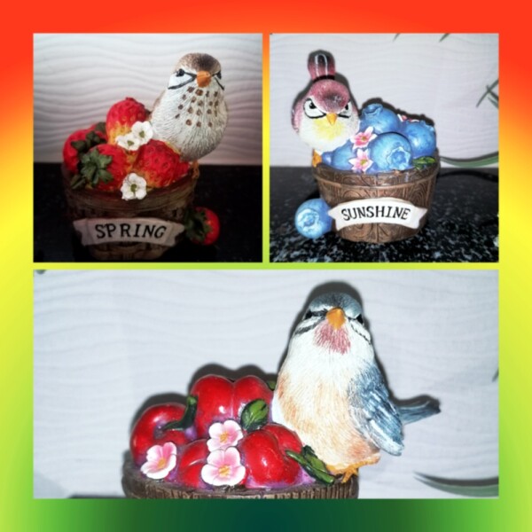 Vogel auf Obstkorb