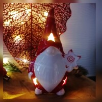 Wichtel LED