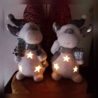 Elch LED
