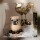 R&auml;ucherm&auml;nnchen R&auml;ucherfigur Hund