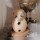 R&auml;ucherm&auml;nnchen R&auml;ucherfigur Hund