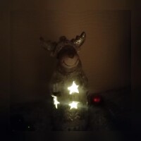 Elch LED