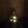 Elch LED
