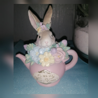 Hase in Kanne