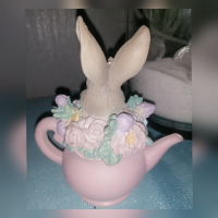 Hase in Kanne
