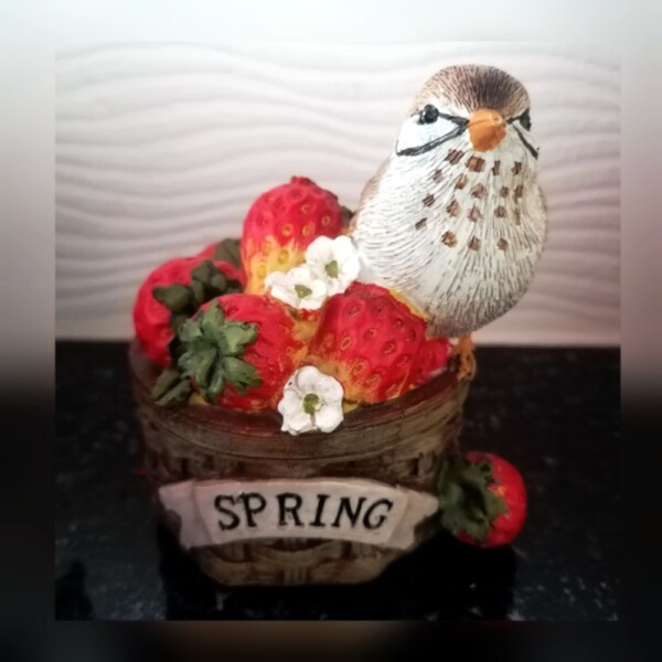 Erdbeeren Spring
