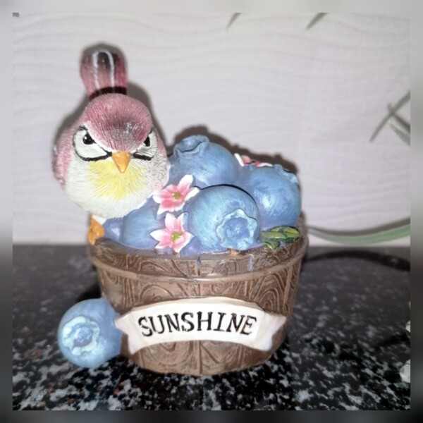 Blaubeeren Sunshine