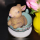 Hase in Tasse